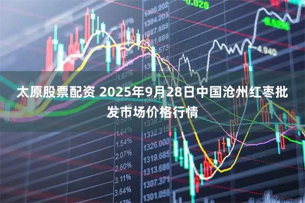 太原股票配资 2025年9月28日中国沧州红枣批发市场价格行情